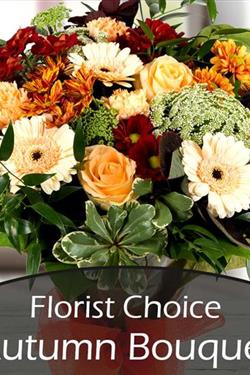 Florist Choice Autumn